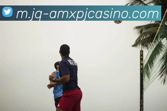 App界面